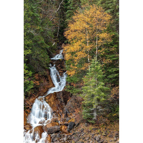 Fawn Creek Falls in autumn in the Flathead National Forest-Montana-USA Black Modern Wood Framed Art Print with Double Matting by Haney, Chuck