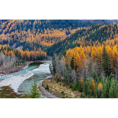 Middle Fork of the Flathead River in autumn in Glacier National Park-Montana-USA Gold Ornate Wood Framed Art Print with Double Matting by Haney, Chuck