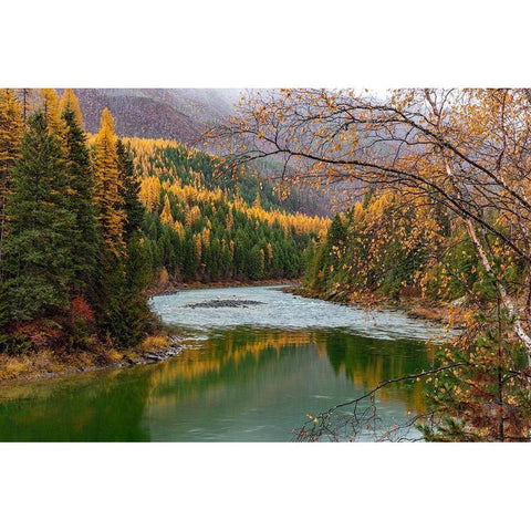 North Fork of the Flathead River in autumn in Glacier National Park-Montana-USA Gold Ornate Wood Framed Art Print with Double Matting by Haney, Chuck