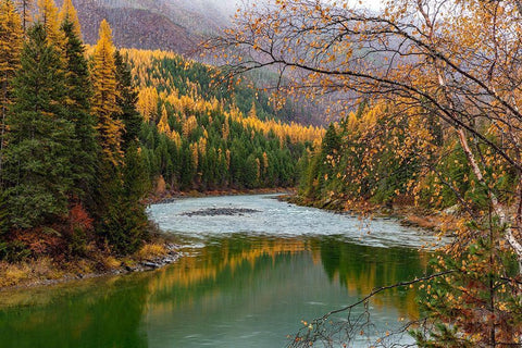 North Fork of the Flathead River in autumn in Glacier National Park-Montana-USA White Modern Wood Framed Art Print with Double Matting by Haney, Chuck