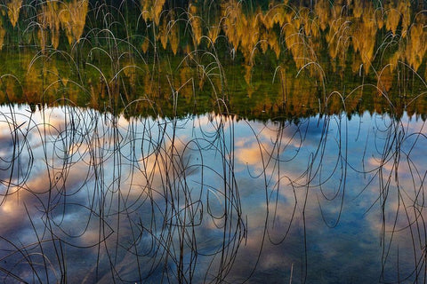 Autumn reflections in Spencer Lake near Whitefish-Montana-USA Black Ornate Wood Framed Art Print with Double Matting by Haney, Chuck