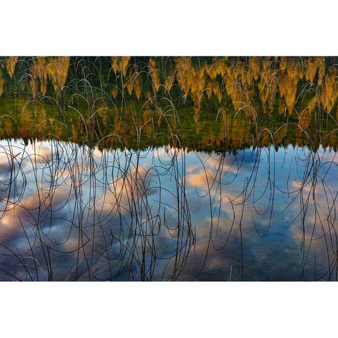 Autumn reflections in Spencer Lake near Whitefish-Montana-USA White Modern Wood Framed Art Print by Haney, Chuck