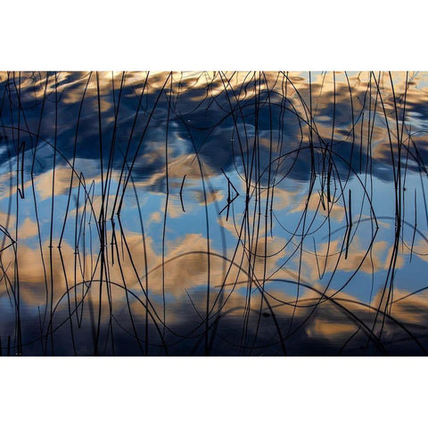 Autumn reflections in Spencer Lake near Whitefish-Montana-USA White Modern Wood Framed Art Print by Haney, Chuck