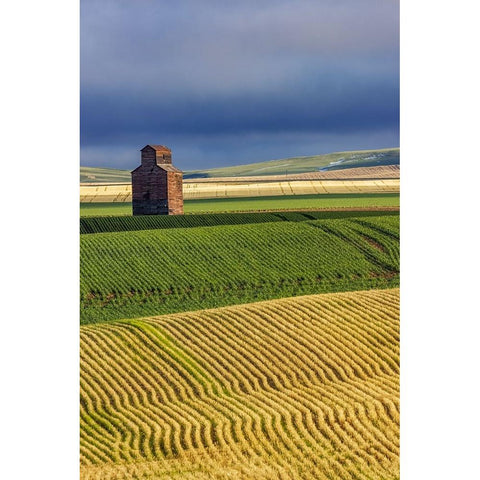 Old wooden granary in Collins-Montana-USA Black Modern Wood Framed Art Print with Double Matting by Haney, Chuck