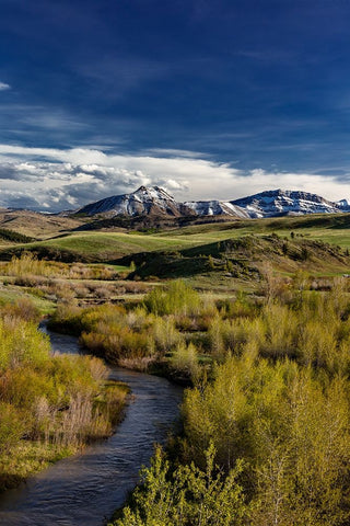 Elk Creek with fresh snow on Steamboat Mountain along the Rocky Mountain Front near Augusta-Montana Black Ornate Wood Framed Art Print with Double Matting by Haney, Chuck