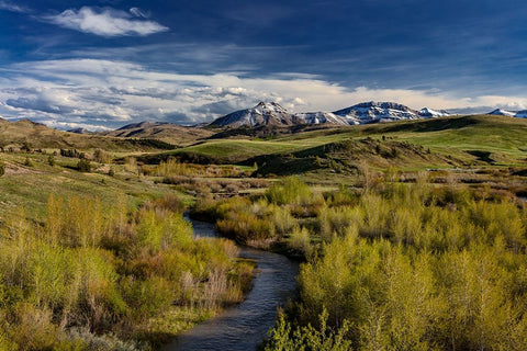 Elk Creek with fresh snow on Steamboat Mountain along the Rocky Mountain Front near Augusta-Montana White Modern Wood Framed Art Print with Double Matting by Haney, Chuck