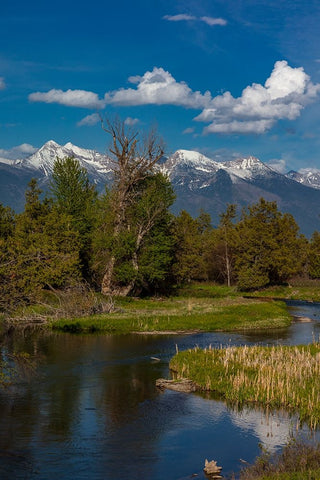 Mission Creek at the National Bison Range in Moiese-Montana-USA White Modern Wood Framed Art Print with Double Matting by Haney, Chuck