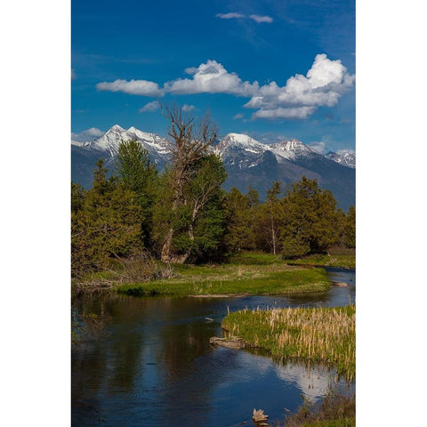 Mission Creek at the National Bison Range in Moiese-Montana-USA Black Modern Wood Framed Art Print by Haney, Chuck