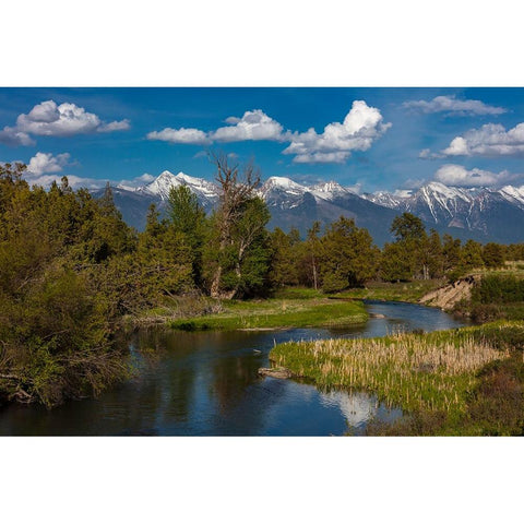 Mission Creek at the National Bison Range in Moiese-Montana-USA Gold Ornate Wood Framed Art Print with Double Matting by Haney, Chuck