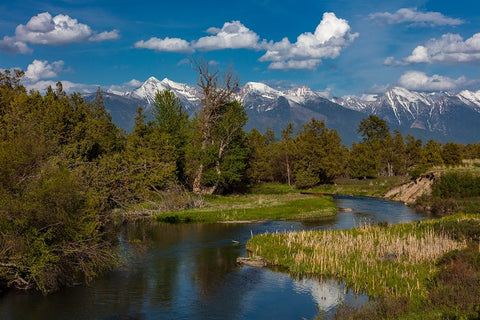 Mission Creek at the National Bison Range in Moiese-Montana-USA Black Ornate Wood Framed Art Print with Double Matting by Haney, Chuck