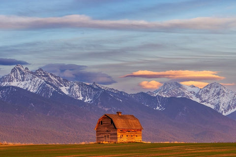 Rustic old barn in evening light with Mission Mountains in Pablo-Montana-USA White Modern Wood Framed Art Print with Double Matting by Haney, Chuck