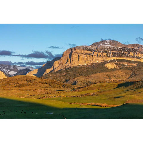 Cattle pastures below Walling Reef at sunrise near Dupuyer-Montana-USA Gold Ornate Wood Framed Art Print with Double Matting by Haney, Chuck