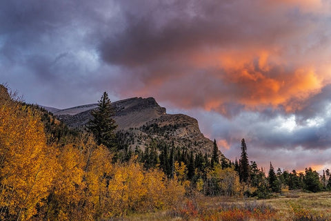 Sunrise clouds over Bear Mountain in Glacier National Park-Montana-USA White Modern Wood Framed Art Print with Double Matting by Haney, Chuck