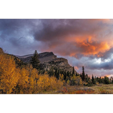 Sunrise clouds over Bear Mountain in Glacier National Park-Montana-USA Gold Ornate Wood Framed Art Print with Double Matting by Haney, Chuck