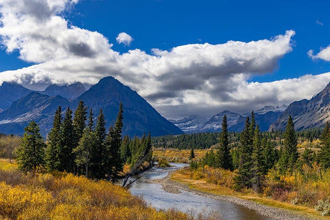 Autumn hues along the Belly River in Glacier National Park-Montana-USA Black Ornate Wood Framed Art Print with Double Matting by Haney, Chuck
