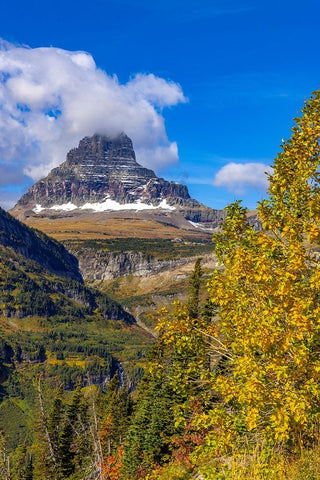 Clements Mountain and Reynolds Creek Falls in autumn-Glacier National Park-Montana-USA White Modern Wood Framed Art Print with Double Matting by Haney, Chuck