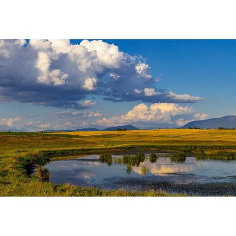 Wetlands pond in the Flathead Valley-Montana-USA Black Modern Wood Framed Art Print with Double Matting by Haney, Chuck