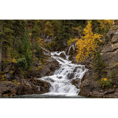 Gros Ventre Falls in autumn-Glacier National Park-Montana-USA White Modern Wood Framed Art Print by Haney, Chuck