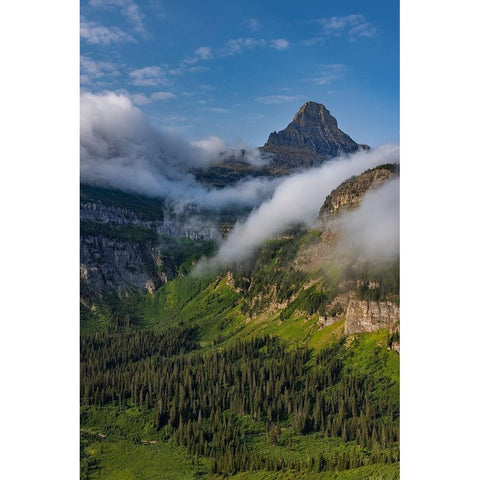 Rolling fog clouds with Reynolds Mountains at Logan Pass in Glacier National Park-USA White Modern Wood Framed Art Print by Haney, Chuck