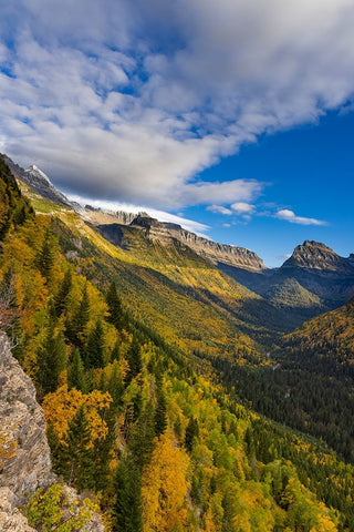 Looking down the McDonald Valley in autumn-Glacier National Park-Montana-USA Black Ornate Wood Framed Art Print with Double Matting by Haney, Chuck