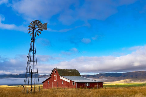 Old barn after clearing storm in the Mission Valley-Montana-USA Black Ornate Wood Framed Art Print with Double Matting by Haney, Chuck