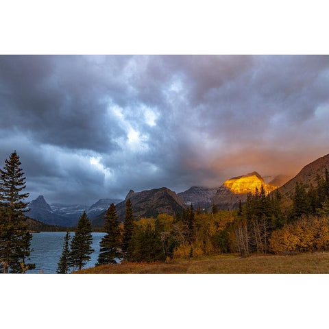 Shoulder of Mount Cleveland bathed in golden sunrise light in Glacier National Park-Montana-USA Black Modern Wood Framed Art Print by Haney, Chuck