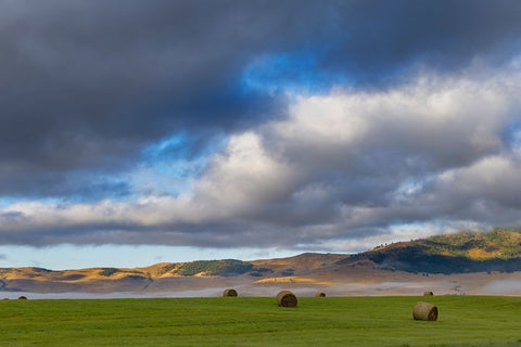 Hay bales in clearing fog with Salish Mountains in Lake County-Montana-USA Black Ornate Wood Framed Art Print with Double Matting by Haney, Chuck