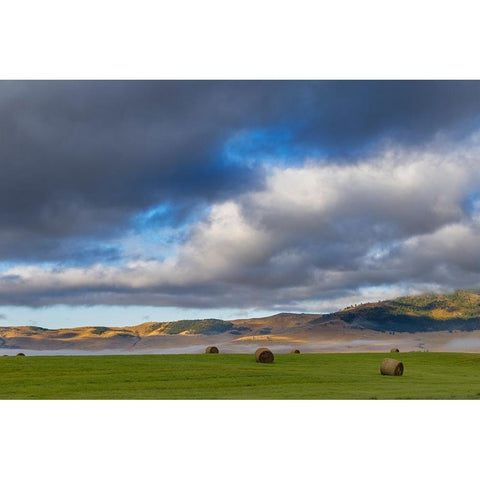 Hay bales in clearing fog with Salish Mountains in Lake County-Montana-USA Black Modern Wood Framed Art Print by Haney, Chuck