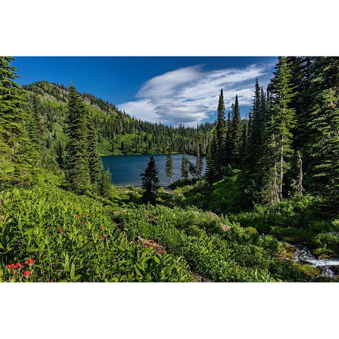Wildcat Lake in the Jewel Basin Hiking Area of Flathead National Forest-Montana-USA Black Modern Wood Framed Art Print by Haney, Chuck