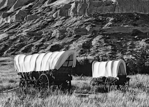 Nebraska, Scotts Bluff Covered wagons in field Black Ornate Wood Framed Art Print with Double Matting by Flaherty, Dennis