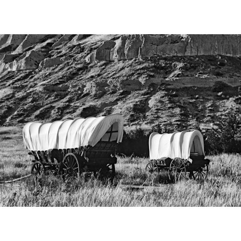 Nebraska, Scotts Bluff Covered wagons in field Black Modern Wood Framed Art Print with Double Matting by Flaherty, Dennis