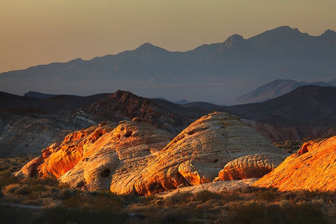 Last light on red sandstone or Aztec Sandstone-Valley of Fire-Nevada Black Ornate Wood Framed Art Print with Double Matting by Jones, Adam