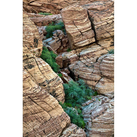 Valley of Fire-Nevada Gold Ornate Wood Framed Art Print with Double Matting by Jones, Adam