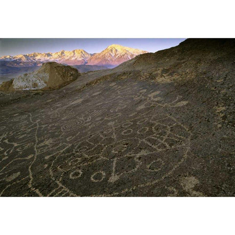 Nevada  Sierra Nevada, Great Basin, Petroglyphs Gold Ornate Wood Framed Art Print with Double Matting by Flaherty, Dennis