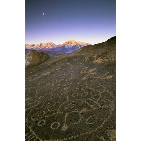 Nevada  Sierra Nevada, Great Basin, Petroglyphs Gold Ornate Wood Framed Art Print with Double Matting by Flaherty, Dennis