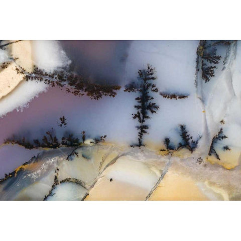 USA, Nevada Close-up of amethyst sage agate Black Modern Wood Framed Art Print with Double Matting by Kirkland, Dennis