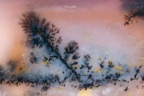 USA, Nevada Close-up of amethyst sage agate Black Ornate Wood Framed Art Print with Double Matting by Kirkland, Dennis