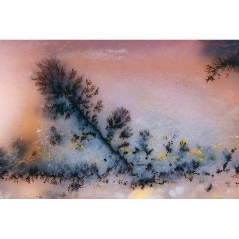 USA, Nevada Close-up of amethyst sage agate Black Modern Wood Framed Art Print with Double Matting by Kirkland, Dennis