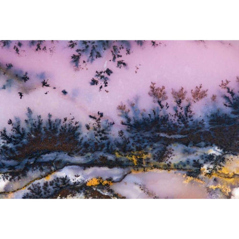 USA, Nevada Close-up of amethyst sage agate Black Modern Wood Framed Art Print with Double Matting by Kirkland, Dennis
