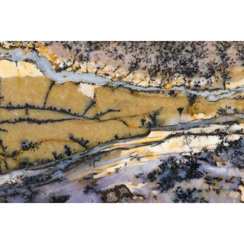 USA, Nevada Close-up of amethyst sage agate Black Modern Wood Framed Art Print with Double Matting by Kirkland, Dennis