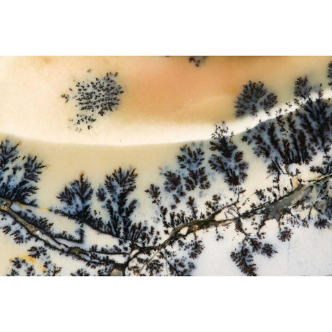 USA, Nevada Close-up of amethyst sage agate White Modern Wood Framed Art Print by Kirkland, Dennis