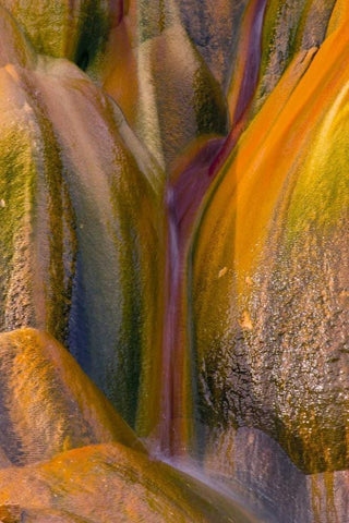 Nevada, Black Rock Desert Fly Geyser rock Black Ornate Wood Framed Art Print with Double Matting by Illg, Cathy and Gordon