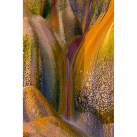 Nevada, Black Rock Desert Fly Geyser rock Gold Ornate Wood Framed Art Print with Double Matting by Illg, Cathy and Gordon