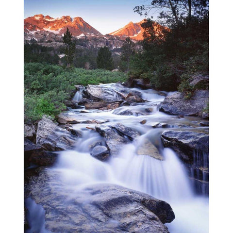 Nevada Stream runs through Lamoille Canyon Gold Ornate Wood Framed Art Print with Double Matting by Flaherty, Dennis