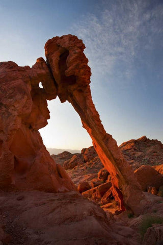Nevada, Valley of Fire SP View of Elephant Rock Black Ornate Wood Framed Art Print with Double Matting by Grall, Don