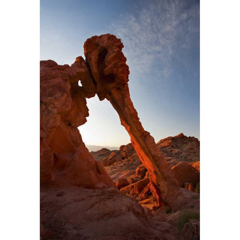 Nevada, Valley of Fire SP View of Elephant Rock Black Modern Wood Framed Art Print with Double Matting by Grall, Don