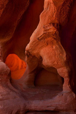 Nevada, Valley of Fire SP Eroded sandstone White Modern Wood Framed Art Print with Double Matting by Grall, Don