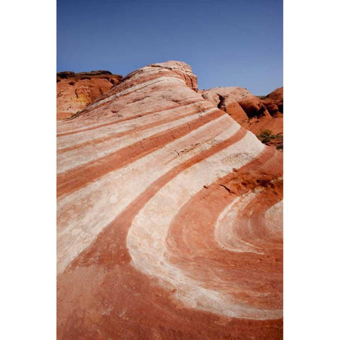 Nevada, Valley of Fire SP Striped sandstone Gold Ornate Wood Framed Art Print with Double Matting by Grall, Don