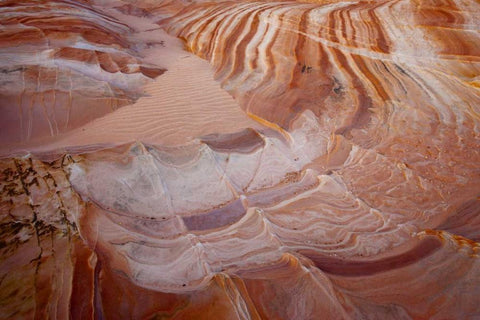 Nevada, Valley of Fire SP Striped sandstone Black Ornate Wood Framed Art Print with Double Matting by Grall, Don