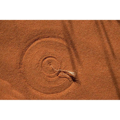 Nevada, Valley of Fire SP Circle in the sand Black Modern Wood Framed Art Print by Grall, Don
